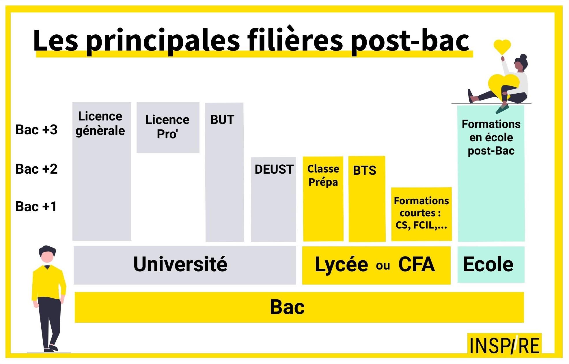 Infographie études supérieurs